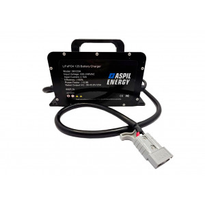 Зарядное устроиство ASPIL Energy 36V25A